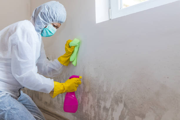 Asbestos and Lead Testing During Mold Inspection in Pleasure Point, CA