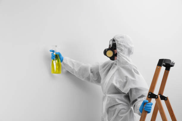 Best Residential Mold Inspection & Testing  in Pleasure Point, CA